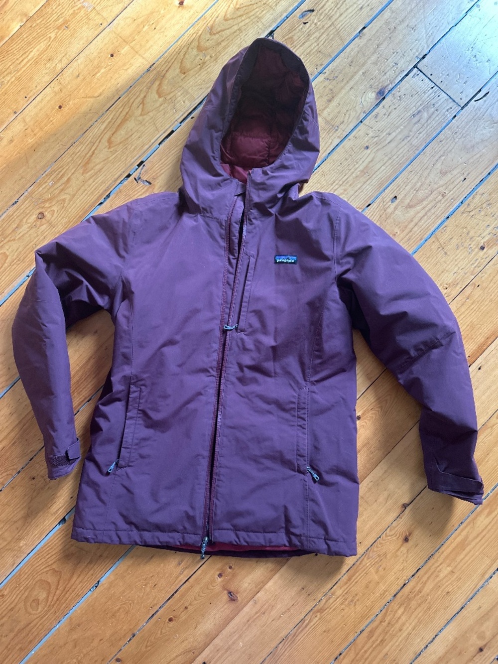 Patagonia Windsweep Down Hoody